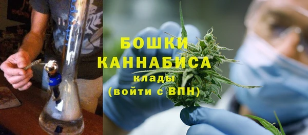 молекула духа Аркадак