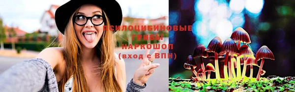 прущий лед Алексин