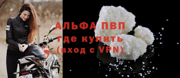 гидра Надым