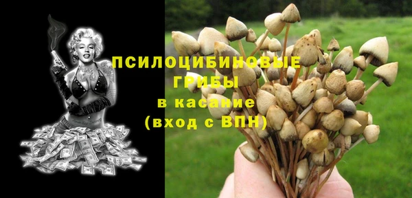 прущий лед Алексин