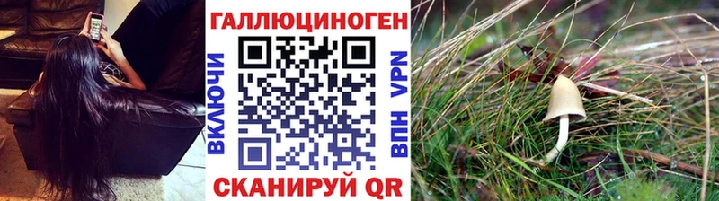 Псилоцибиновые грибы Magic Shrooms  Тобольск 